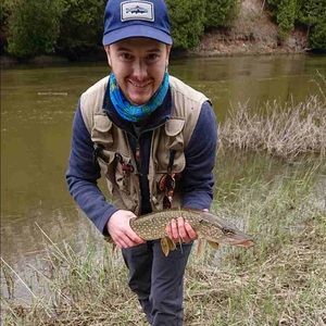 Meet your Posher, Jeff